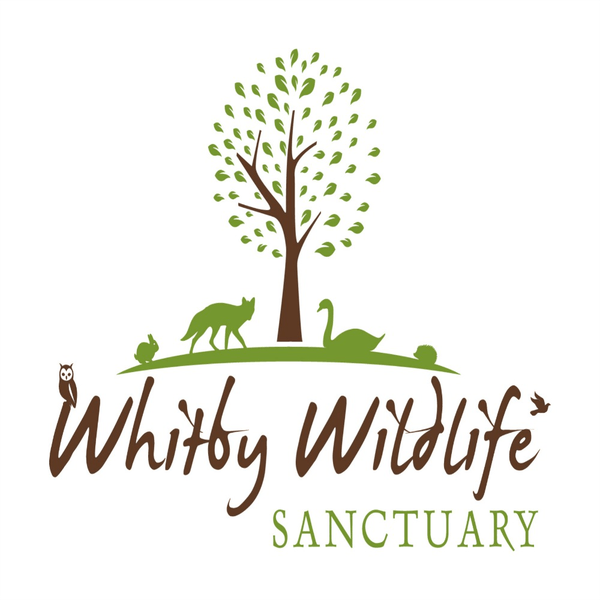 Whitby Wildlife Sanctuary logo